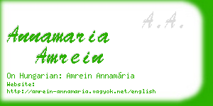 annamaria amrein business card